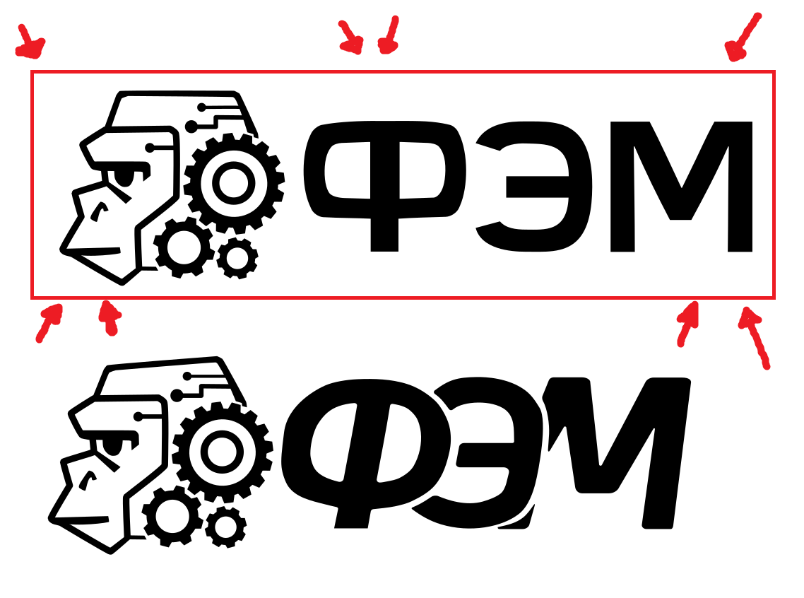 Final FEM Logo