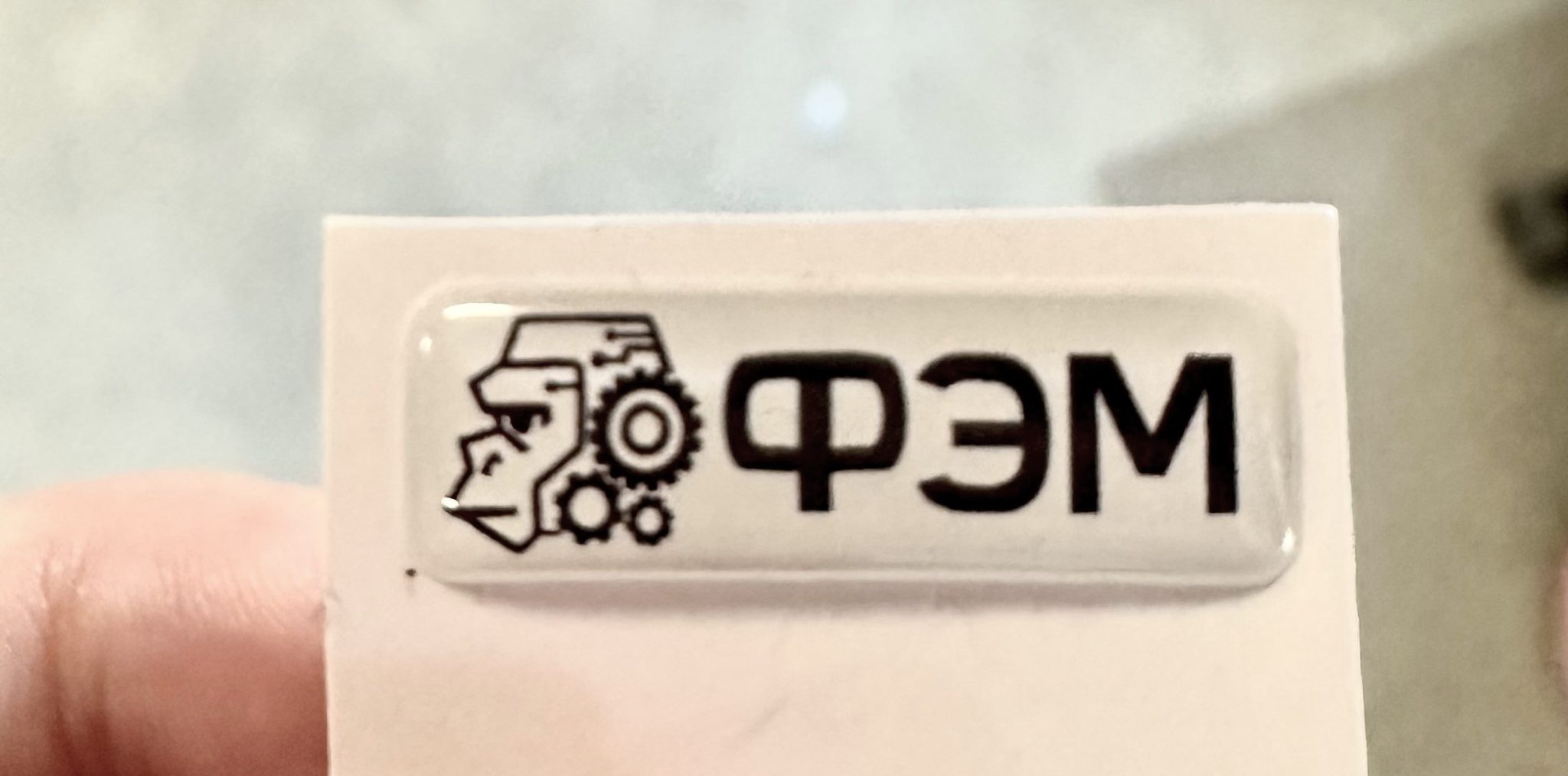 FEM Logo on sticker